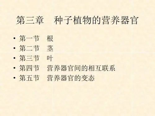 初中七年级(初一)生物 第三章 种子植物的营养器官