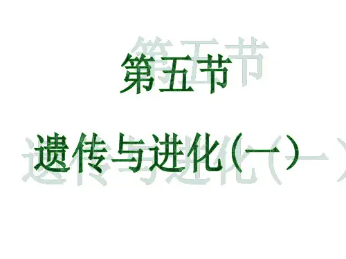 浙教版科学九年级下册 1.5《遗传和进化(一)》课件(共26张PPT)