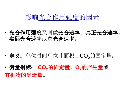 影响光合作用的因素及应用9.4