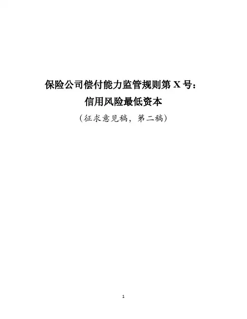保险公司偿付能力监管规则第 X