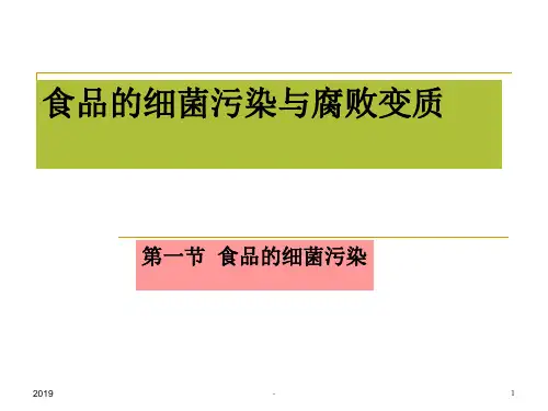 食品的细菌污染与腐败变质ppt课件