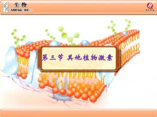 高二生物必修三3.3《其他植物激素》PPT课件