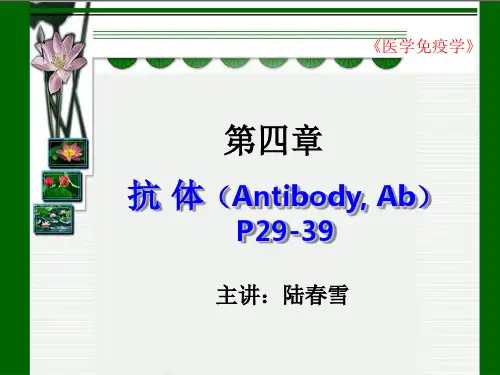 医学免疫学-抗体ppt课件