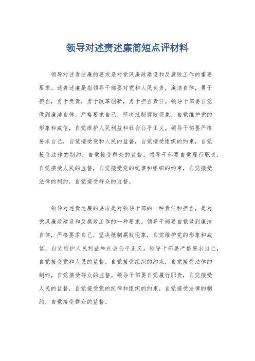 领导对述责述廉简短点评材料