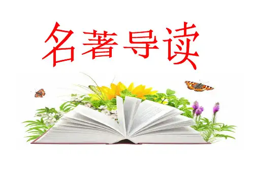 长袜子皮皮(绘本)