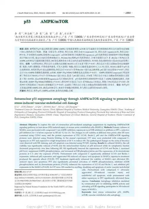 核外p53通过AMPKmTOR信号抑制自噬并促进热打击诱导的血管内皮细胞损伤
