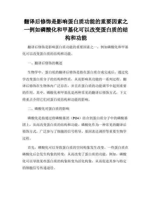 翻译后修饰是影响蛋白质功能的重要因素之一例如磷酸化和甲基化可以改变蛋白质的结构和功能