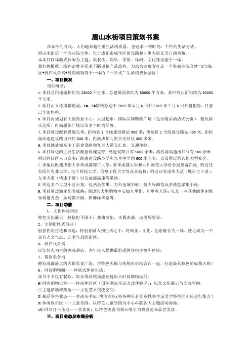 眉山水街项目策划书案