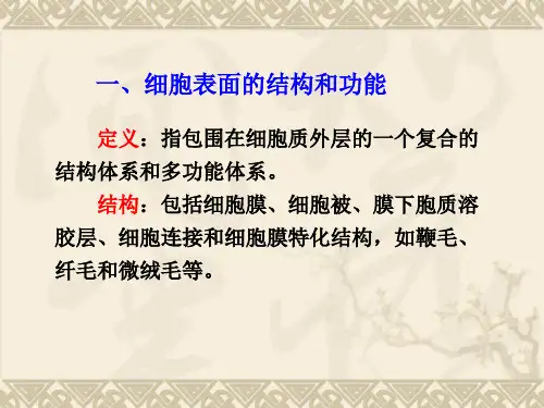 细胞生物学  细胞膜与细胞表面