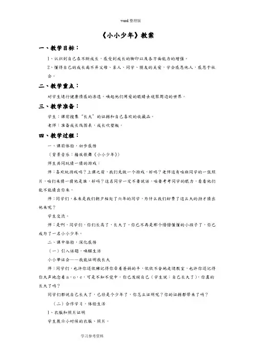 品德与社会教育科学六年级下册《小小少年》教案2