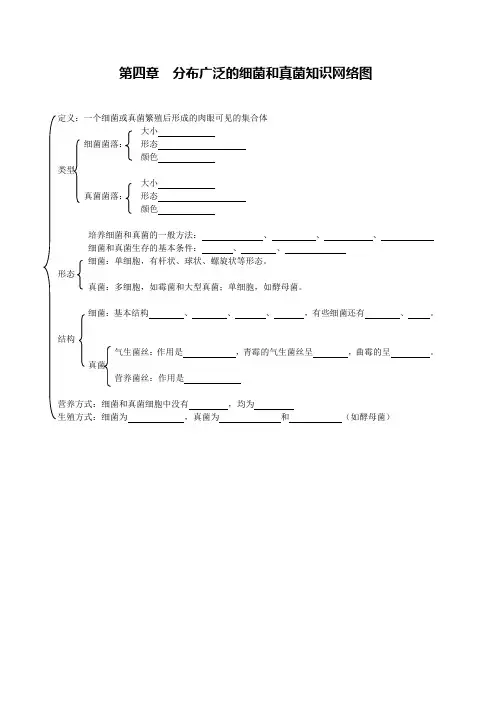 《分布广泛的细菌和真菌》知识网络图
