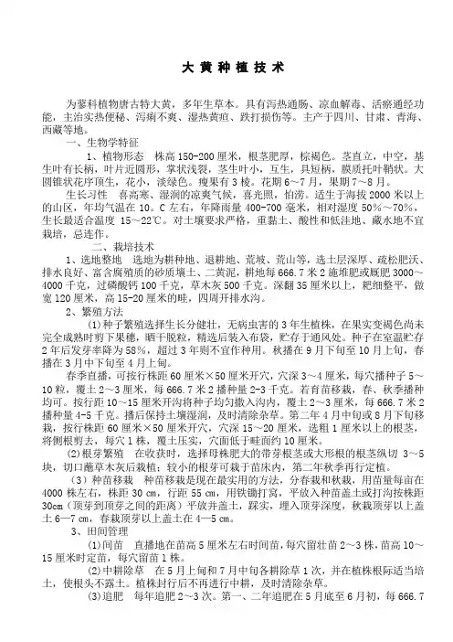 大黄种植技术