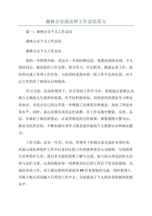 森林公安派出所工作总结范文