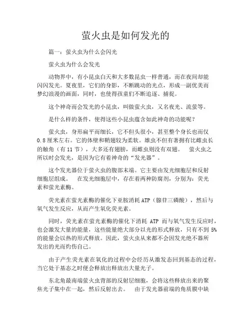 萤火虫是如何发光的