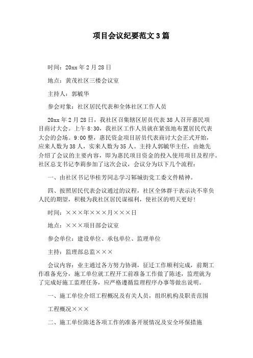 项目会议纪要范文3篇