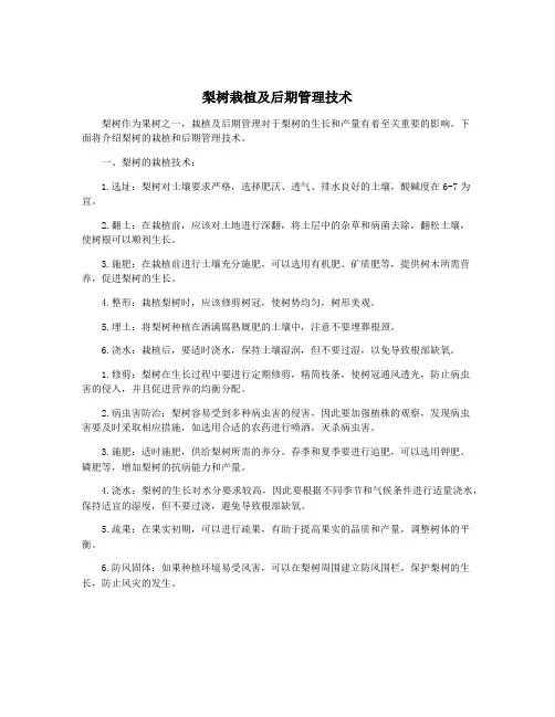 梨树栽植及后期管理技术