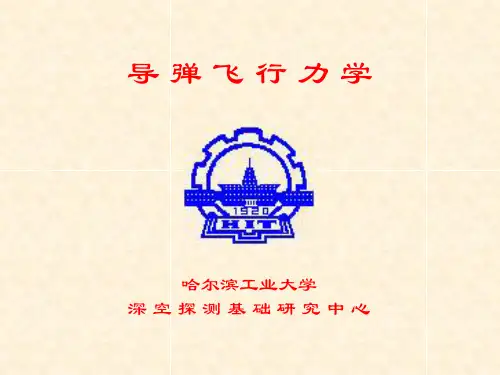 导弹飞行力学幻灯片