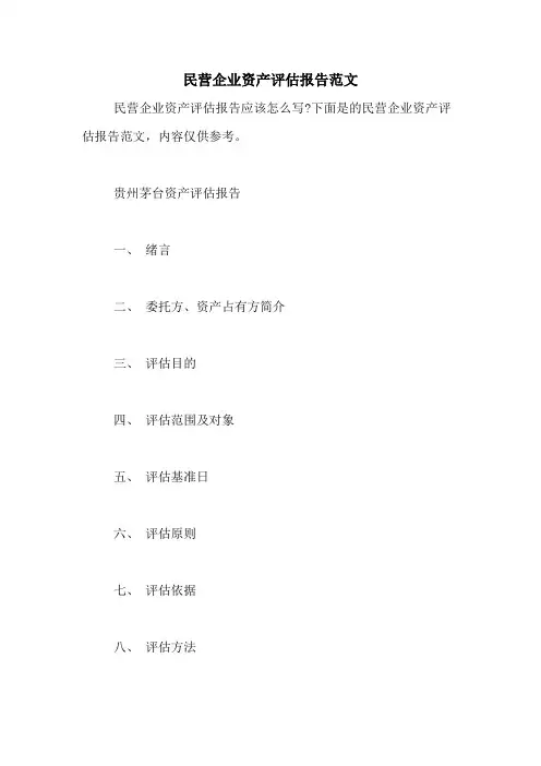 2021年民营企业资产评估报告范文