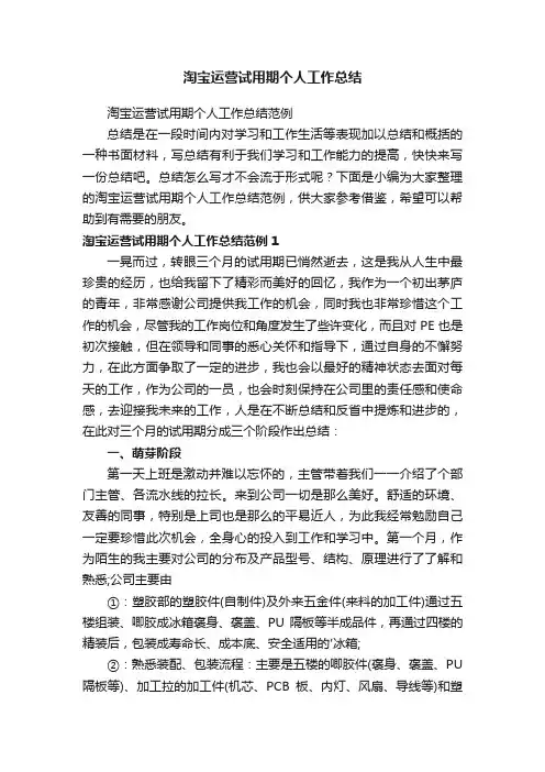 淘宝运营试用期个人工作总结范例