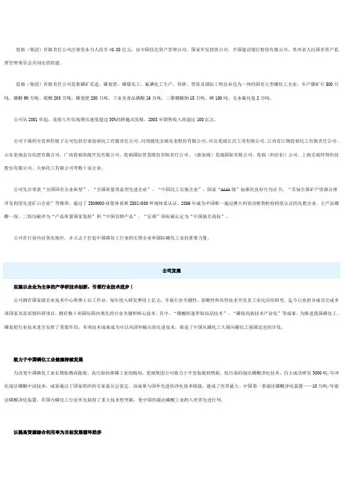 翁福化工有限责任公司