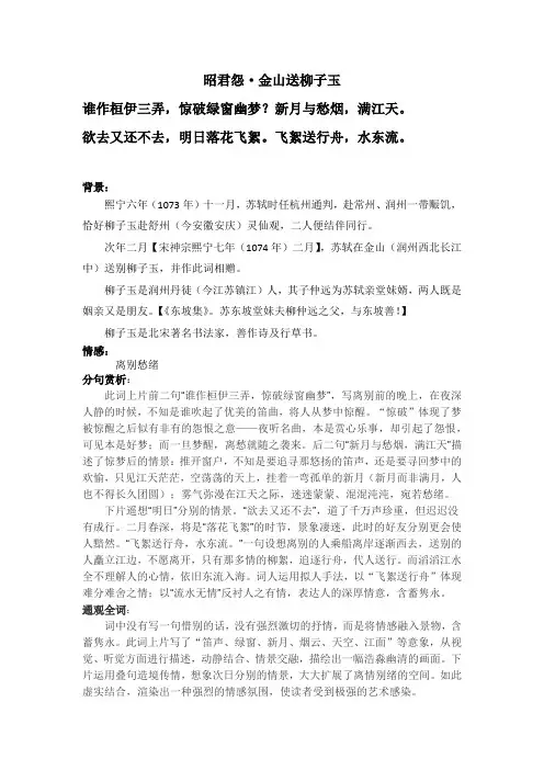 昭君怨 苏轼 赏析