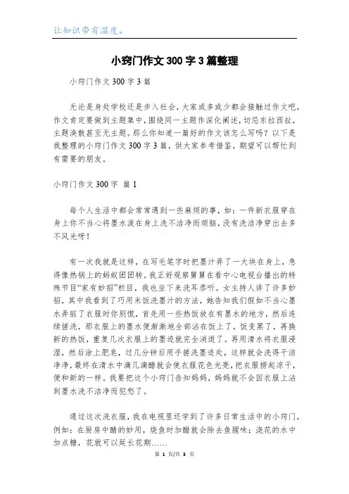 小窍门作文300字3篇整理