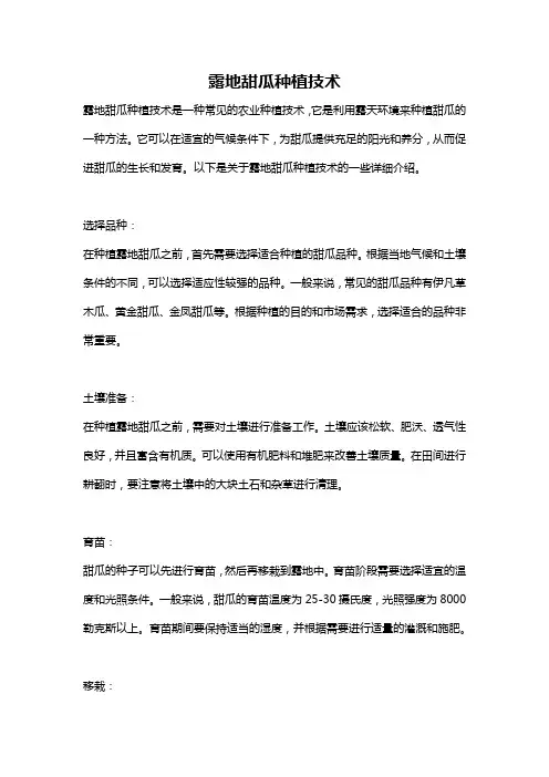 露地甜瓜种植技术