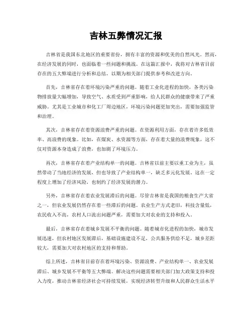 吉林五弊情况汇报