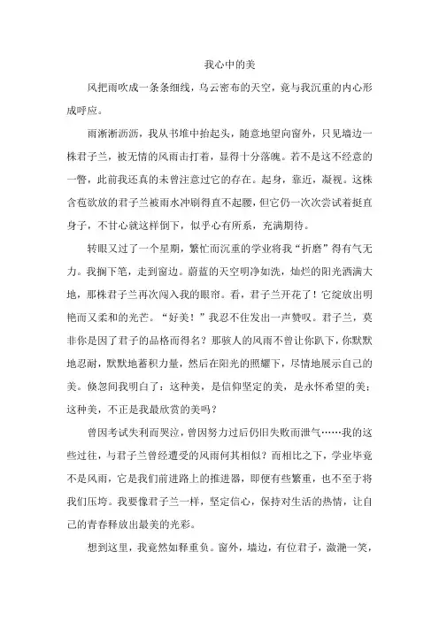 我心中的美自命题作文600字