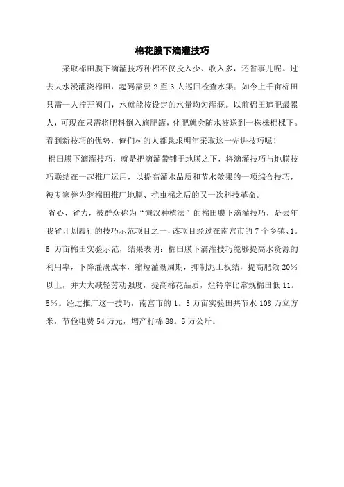 棉花膜下滴灌技巧