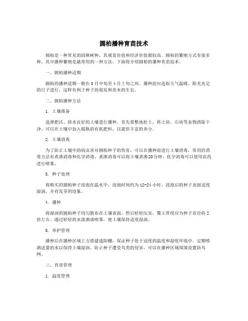 圆柏播种育苗技术