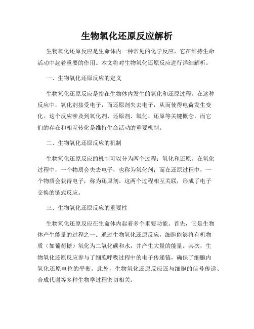 生物氧化还原反应解析
