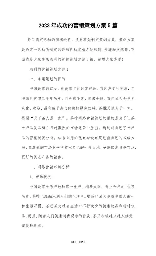 2023年成功的营销策划方案5篇