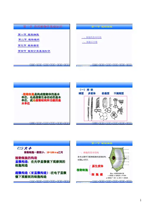 《药用植物学》第2章天然药物学基础知识（细胞、组织）
