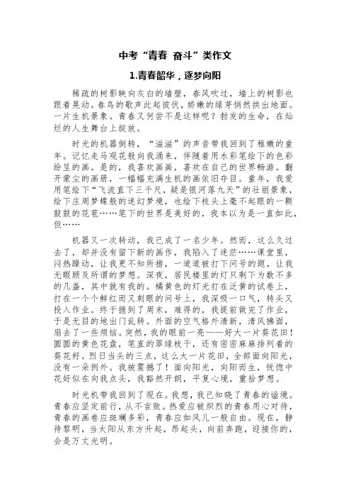 中考“青春 奋斗”类作文(精选五篇+评语)