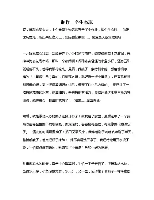 作文《制作一个生态瓶》