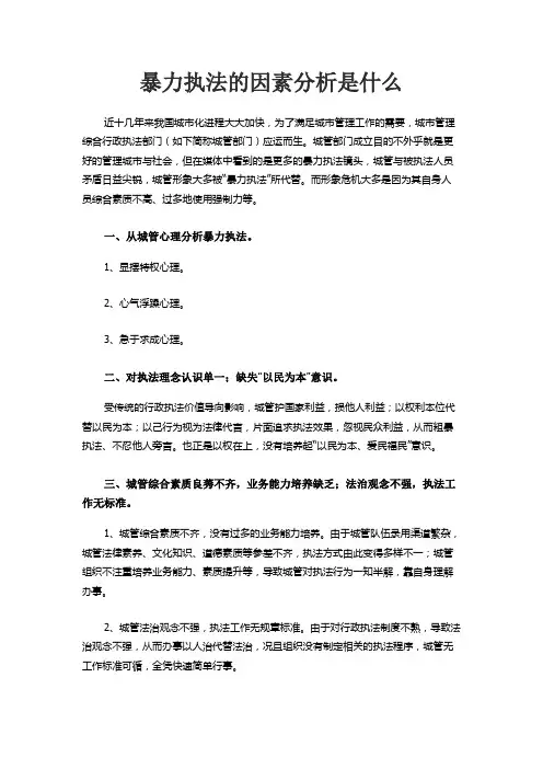 暴力执法的因素分析是什么