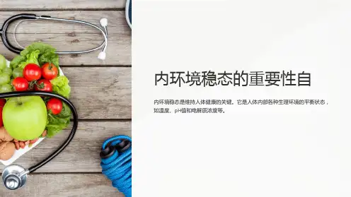 内环境稳态的重要性自