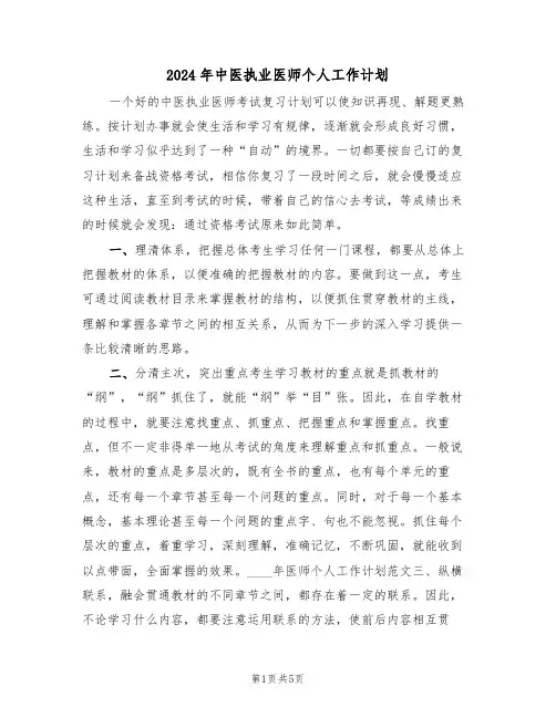 2024年中医执业医师个人工作计划（二篇）