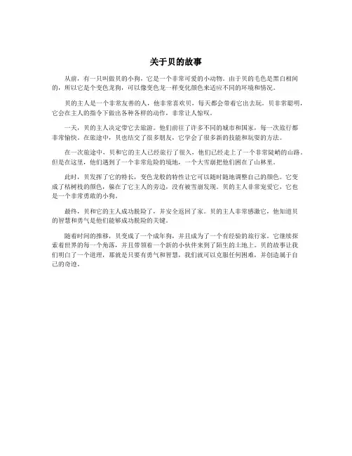 关于贝的故事