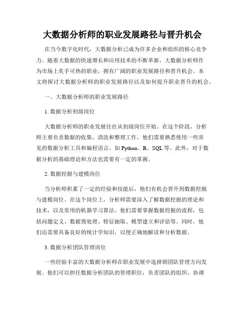 大数据分析师的职业发展路径与晋升机会