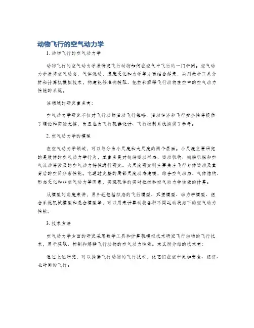 动物飞行的空气动力学