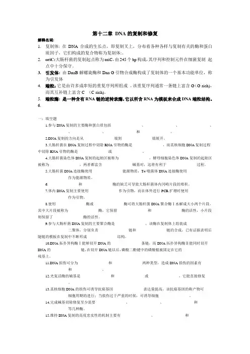 第十二章  DNA的复制和修复