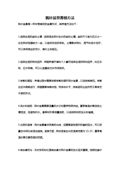 枫叶盆景养植方法
