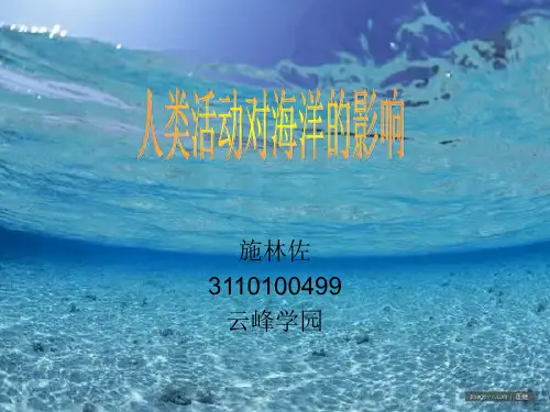 人类活动对海洋的影响