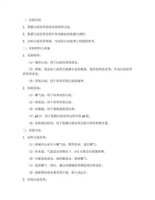 培养污泥实验报告