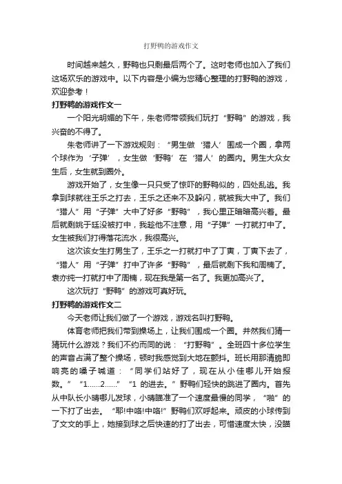 打野鸭的游戏作文_作文350字_作文范文_