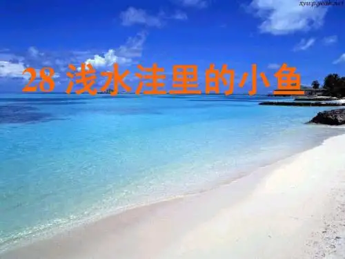 小学语文新人教版二年级上册《浅水洼里的小鱼》含有精美的Flash动画课件