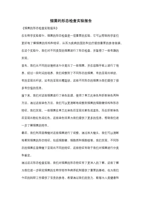 细菌的形态检查实验报告
