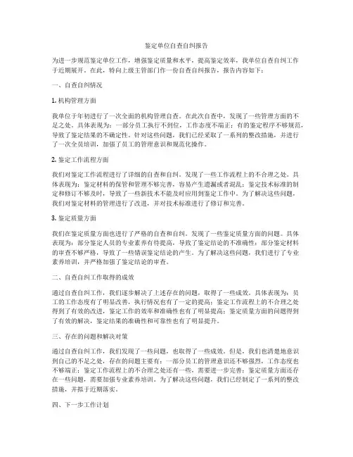 鉴定单位自查自纠报告
